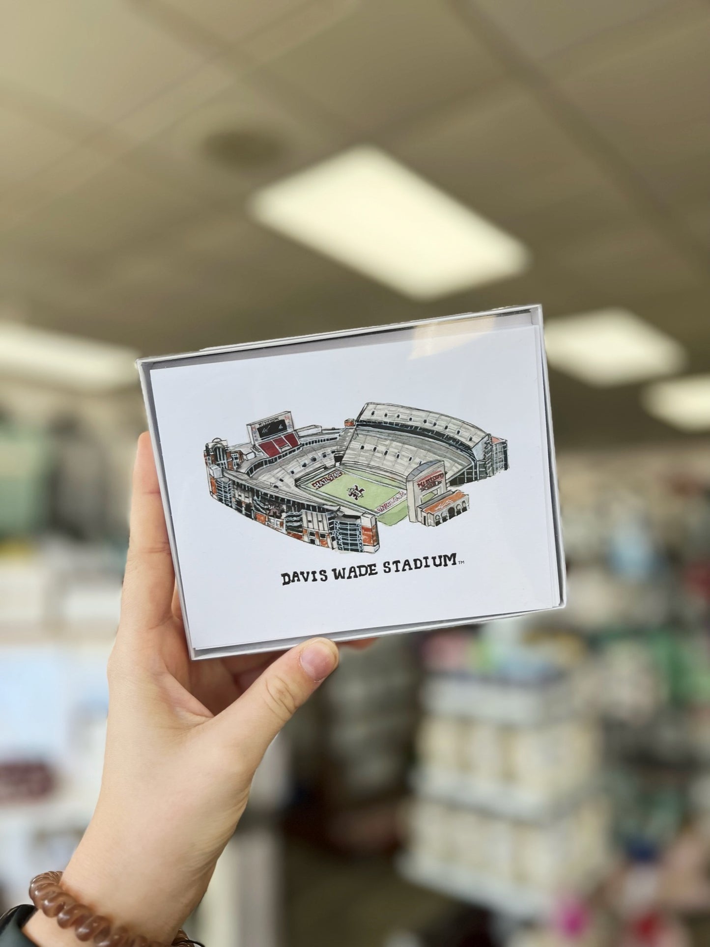 MSU Stadium Boxed Note Cards