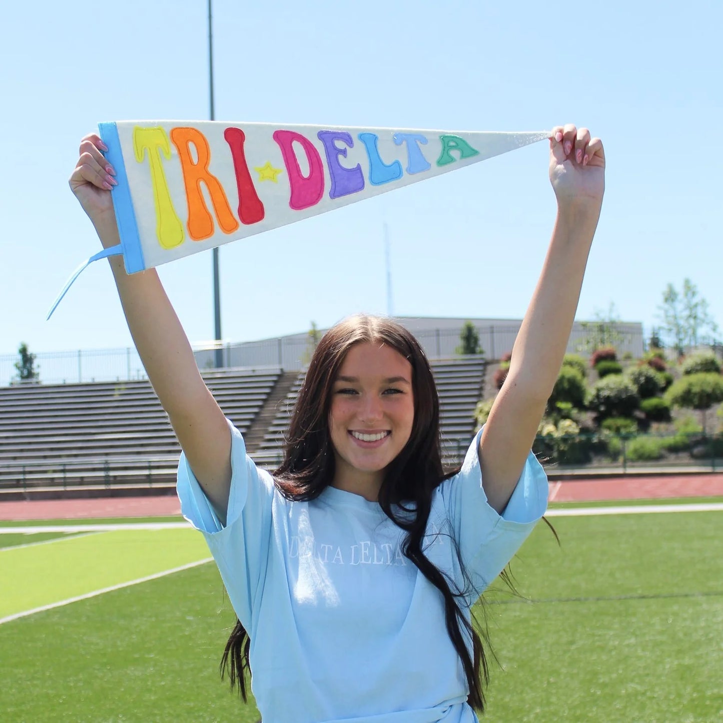 Sorority Rainbow Pennant Flags