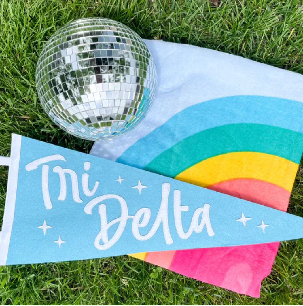 Sorority Star Dust Pennant Flags