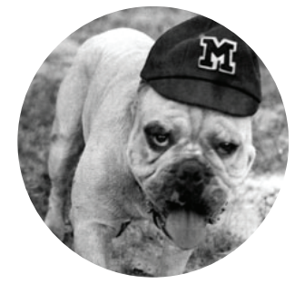 Large Gameday Button