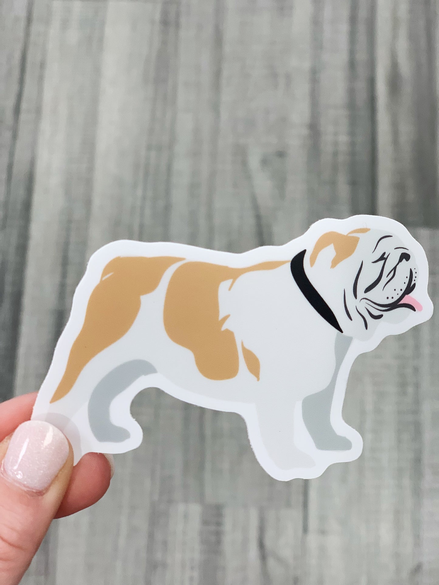 Bulldog Decal