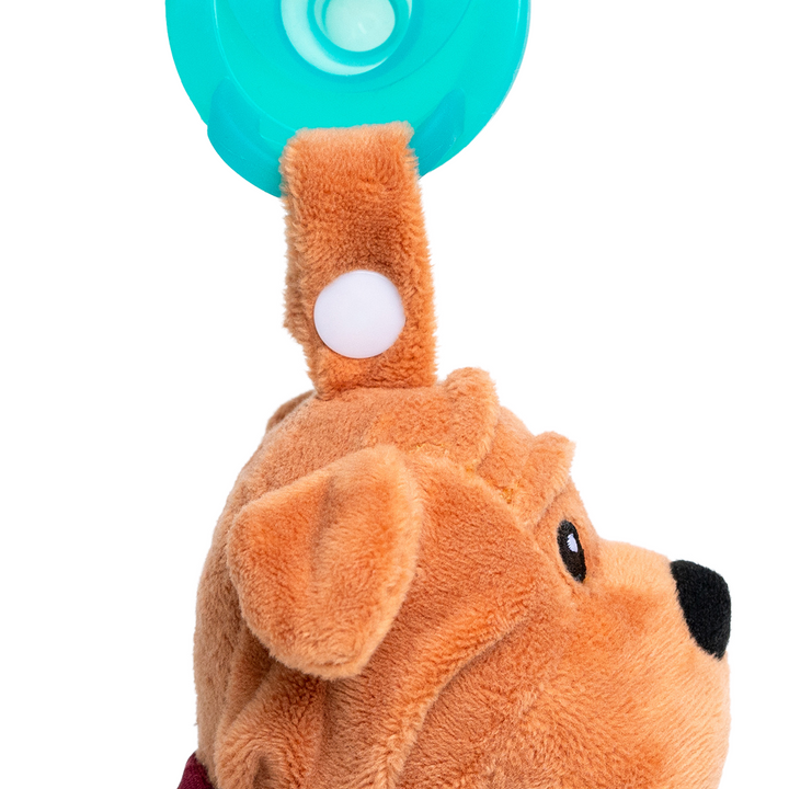 Bully Pacifier