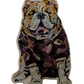 Maroon Bulldog Acrylic Magnet