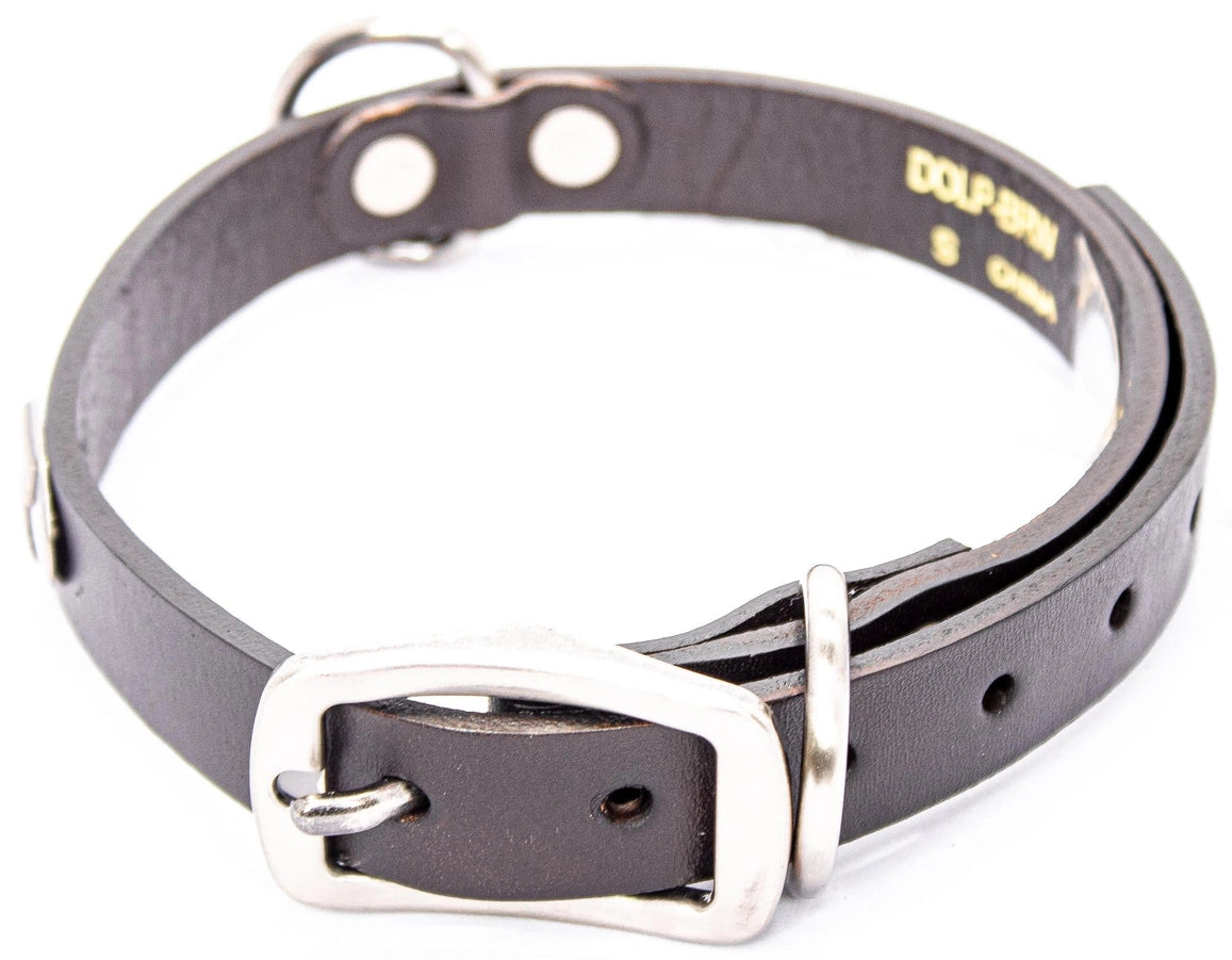 Concho Dog Collar