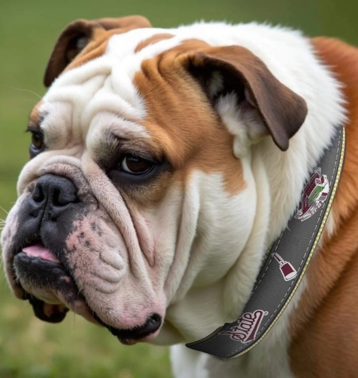 Gray MSU Collage Ribbon Dog Collar
