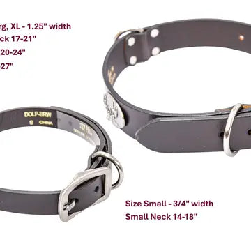 Concho Dog Collar