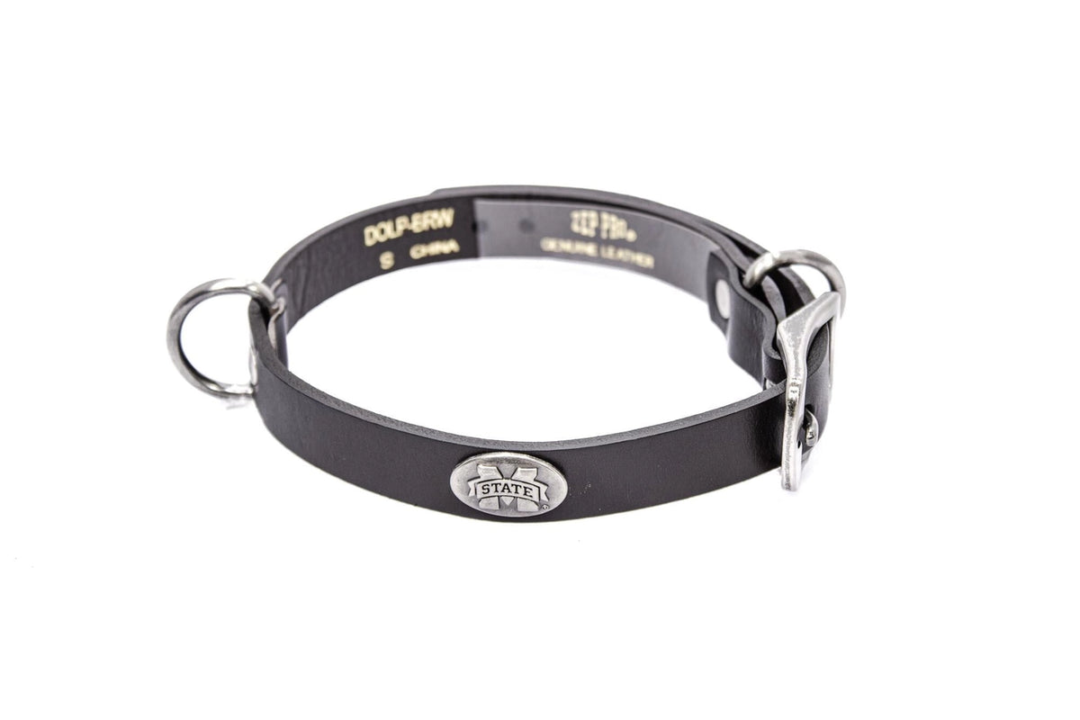 Concho Dog Collar
