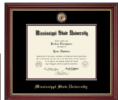 Masterpiece Medallion Diploma Frame