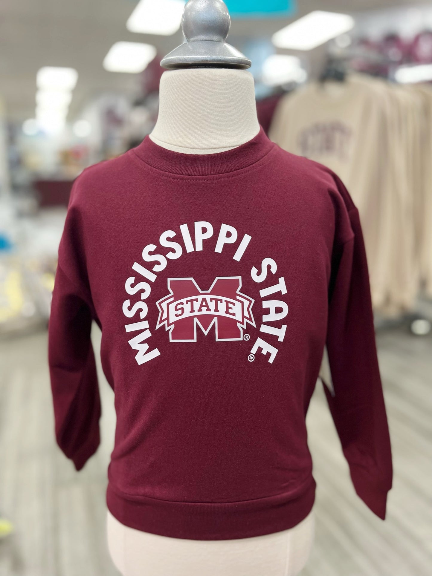 Youth MSU Sweatshirt