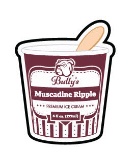 Bully's Premium Ice Cream Stickers