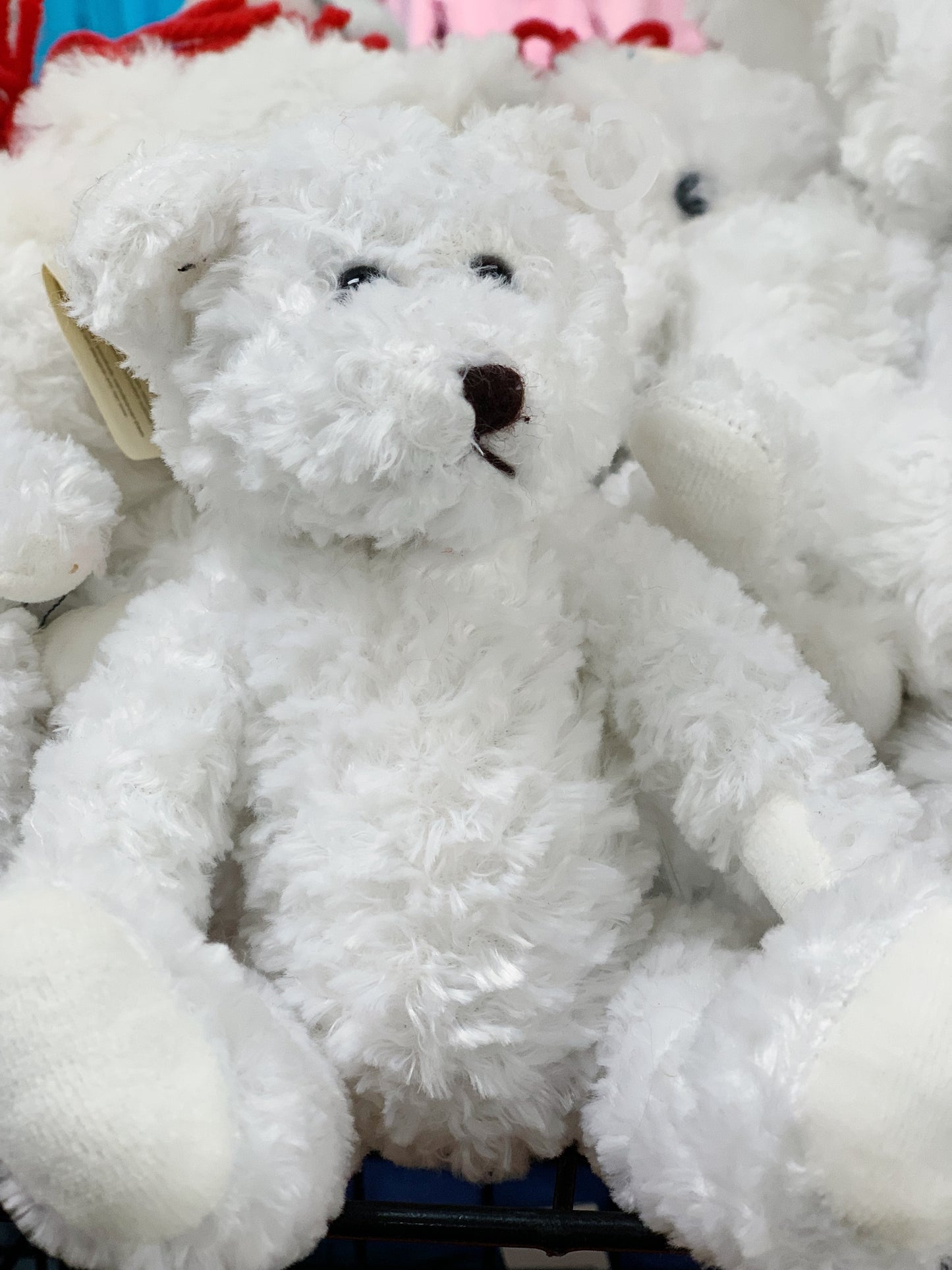Small White Stuffed Bear