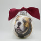 Mississippi State Mascot Glass Ball Ornament